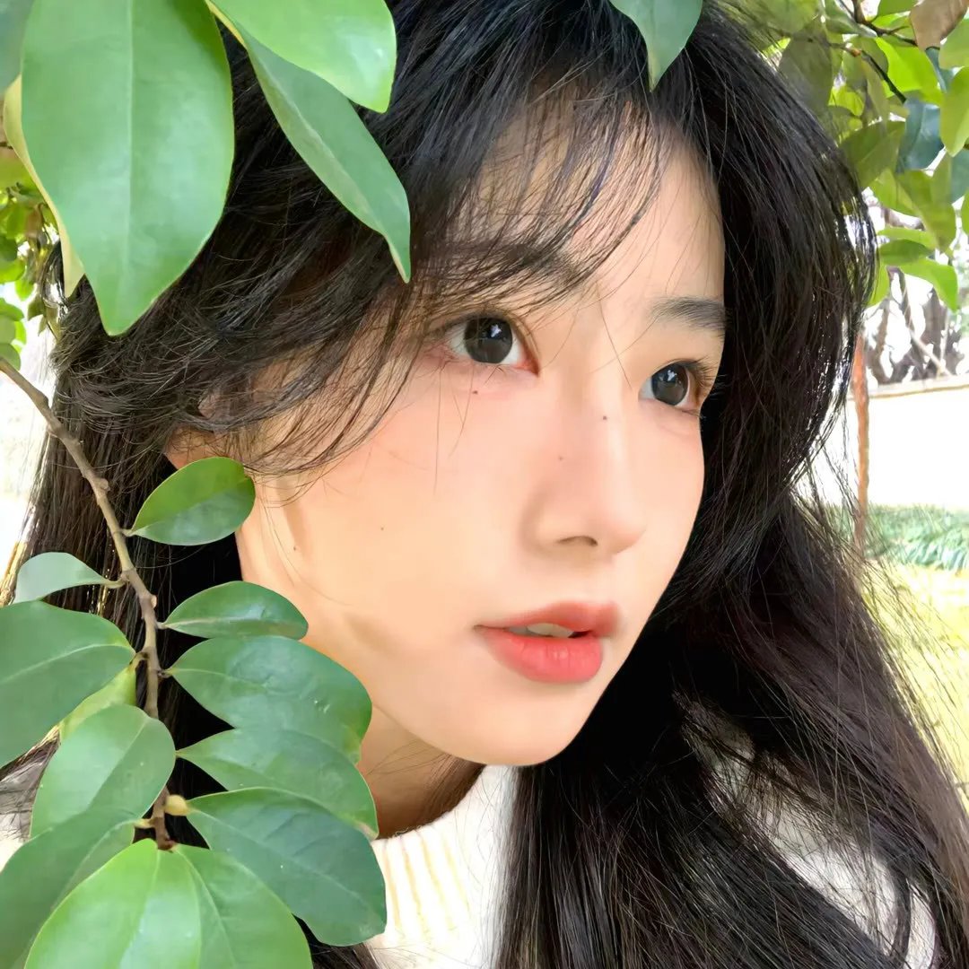 裴少，夫人又离家出走了