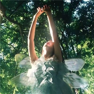 突击莉莉缤纷果实